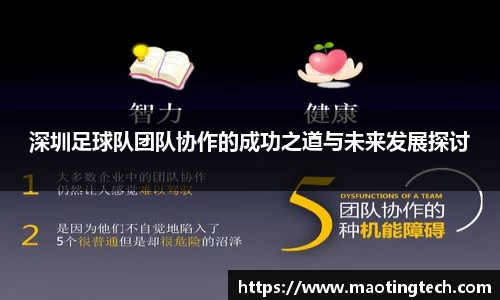 深圳足球队团队协作的成功之道与未来发展探讨